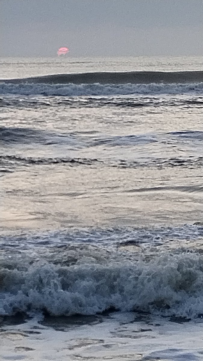 ghirigoro rogighiro  tweet media