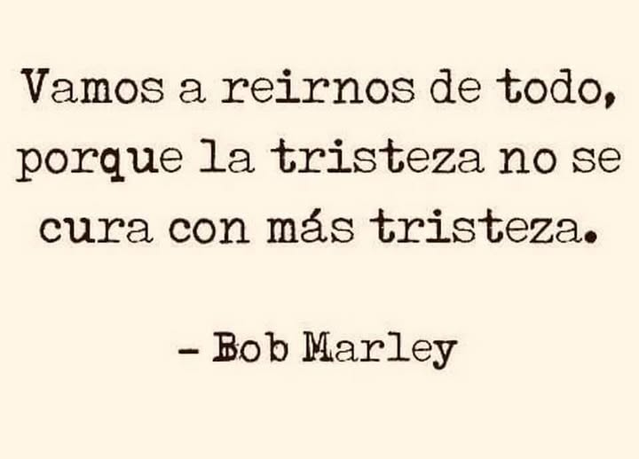 Multiforo Alici@ tweet media