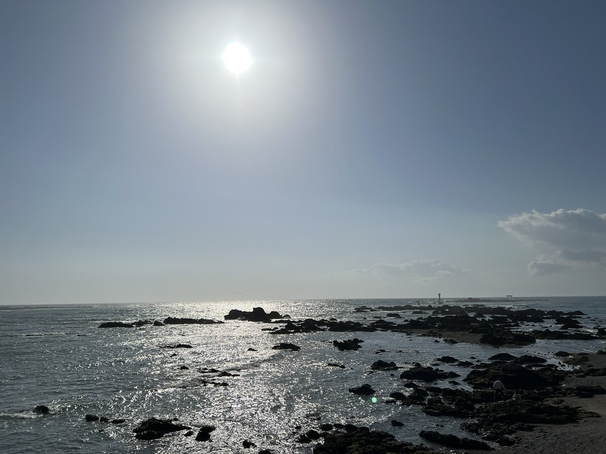 ミウラヒデアキ tweet media