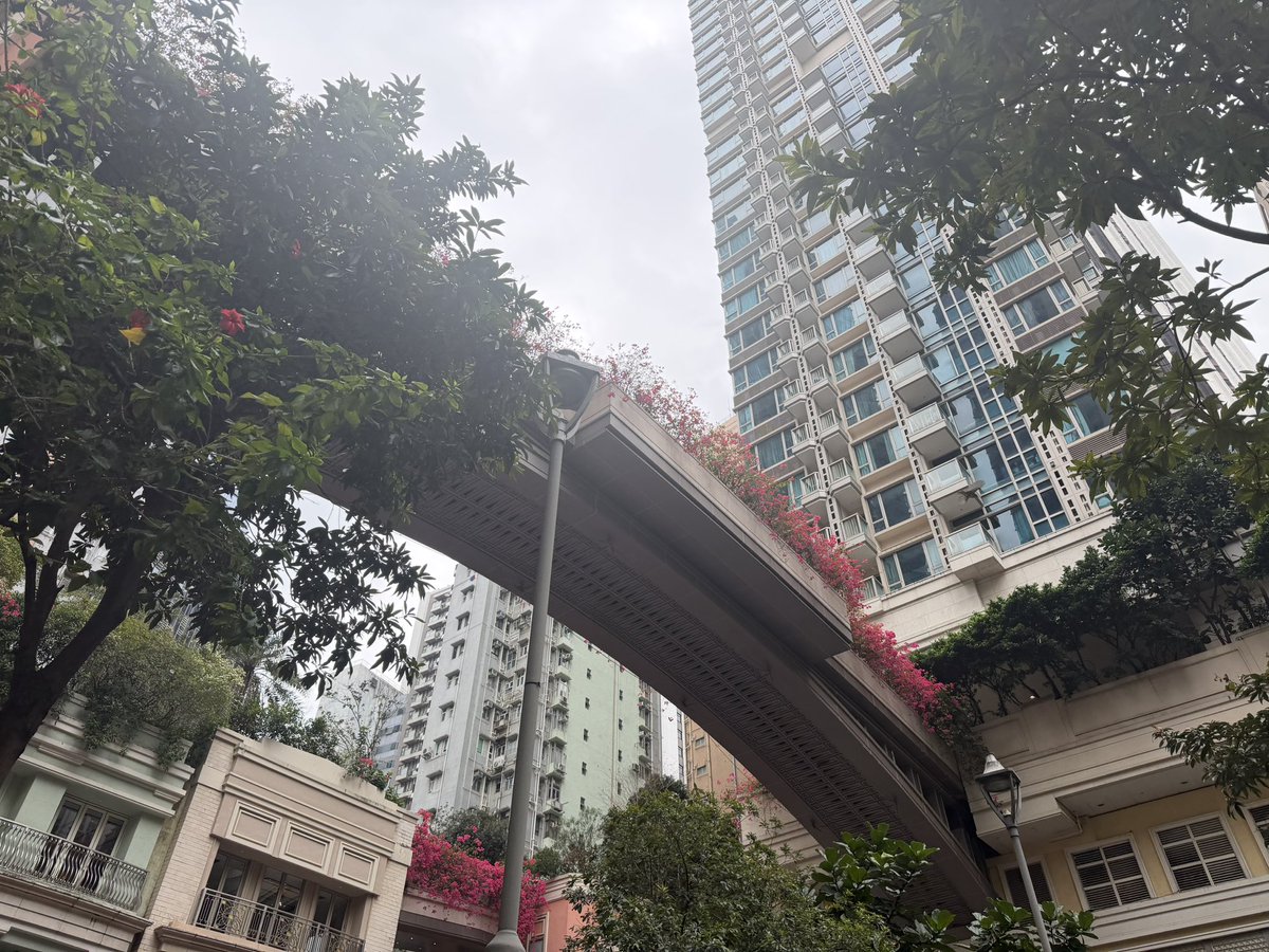 ワイタト tweet media