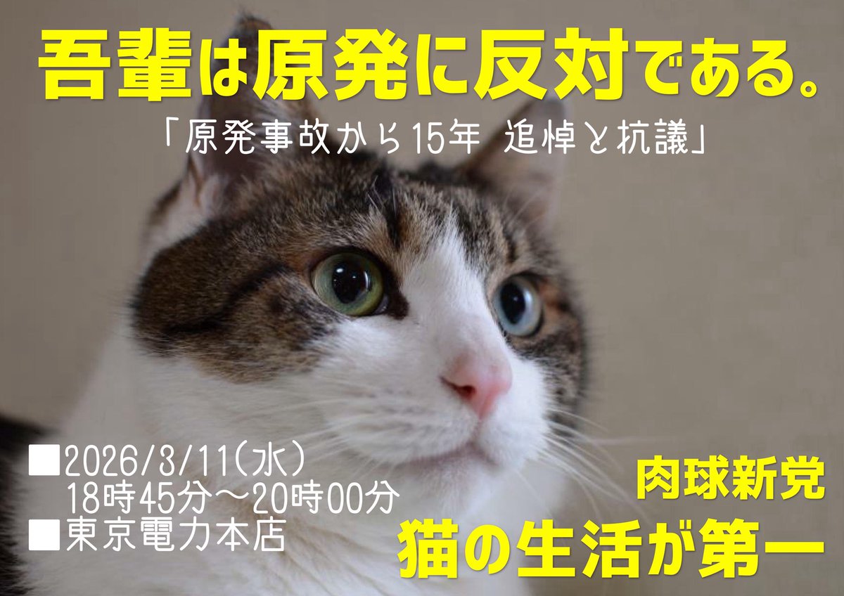 3/11東電前の肉球新党からのアピールです。
ーーーーー
原発事故の２年ほど後に、福島の写真展のポスターを見ました。そこには人々が避難した後の人気のない通りをトコトコと歩いていく小さな猫の後ろ姿がありました。その子猫がふと後ろを振り向いた瞬間の写真に、こんな文章が添えられていました。