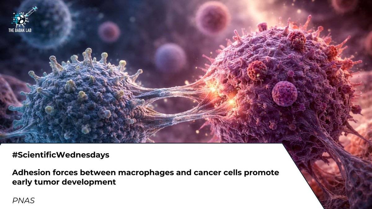 The Babak Lab HK tweet media