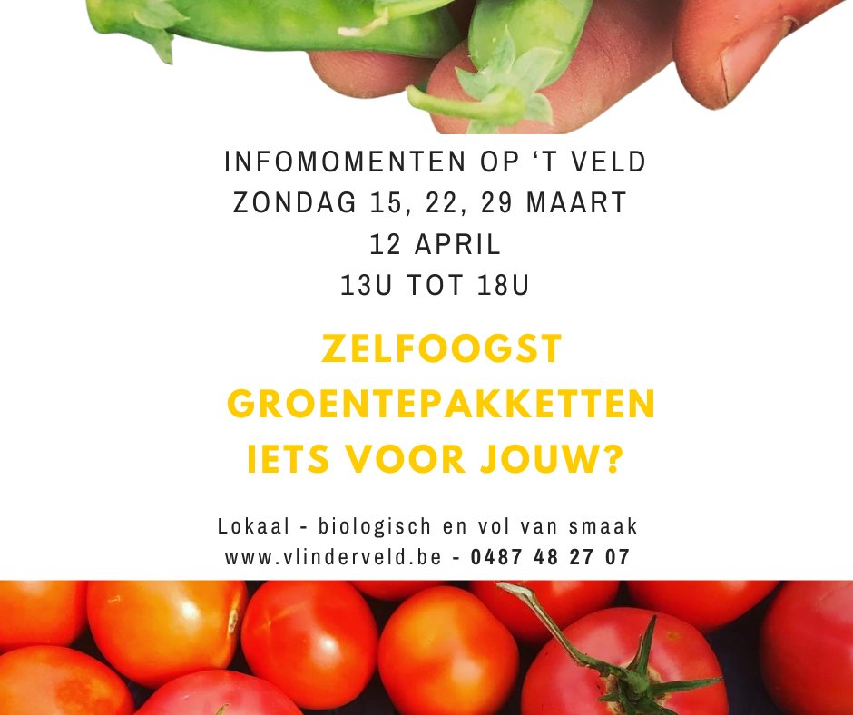 oldstreettown's tweet photo. Boerenmarkt (wo 16u–19u)🌻 - https://t.co/e4m4MJ7lIt https://t.co/xw8JLks45V