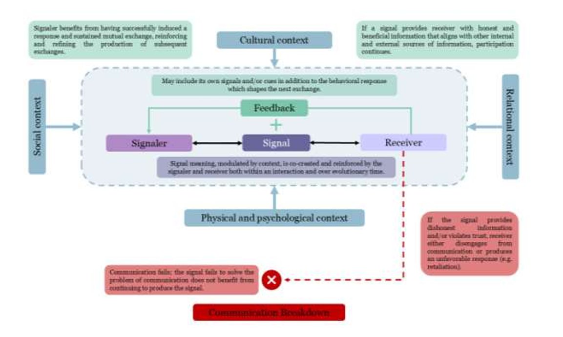 A.Benítez-Burraco tweet media