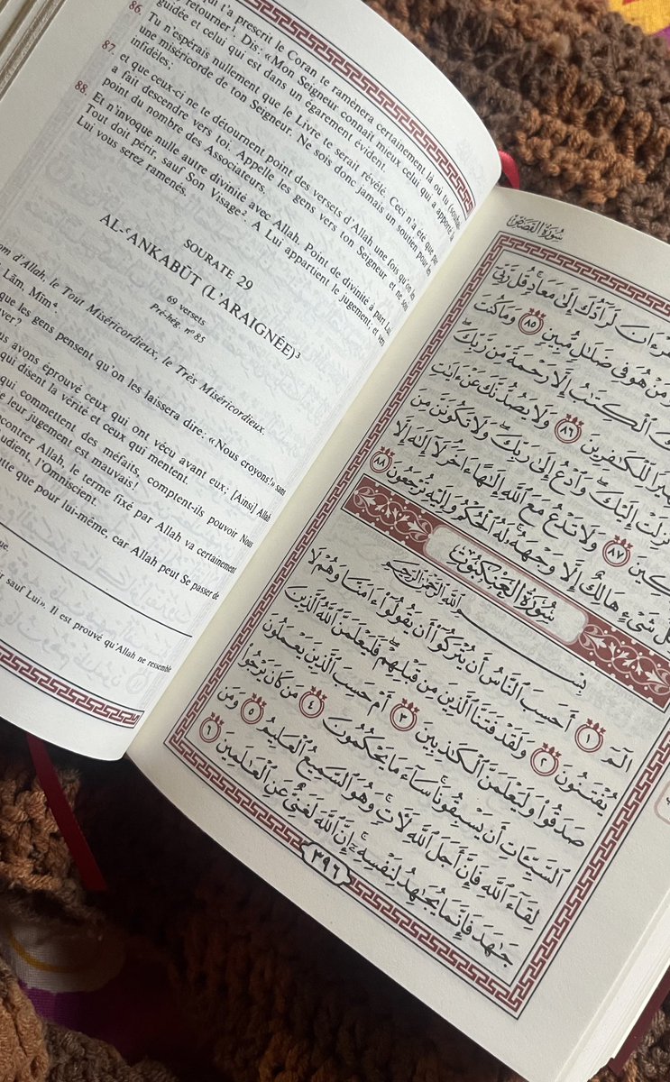 Tu ne regretteras jamais d’aimer et de repartager cette belle image, in shaa Allah🤍