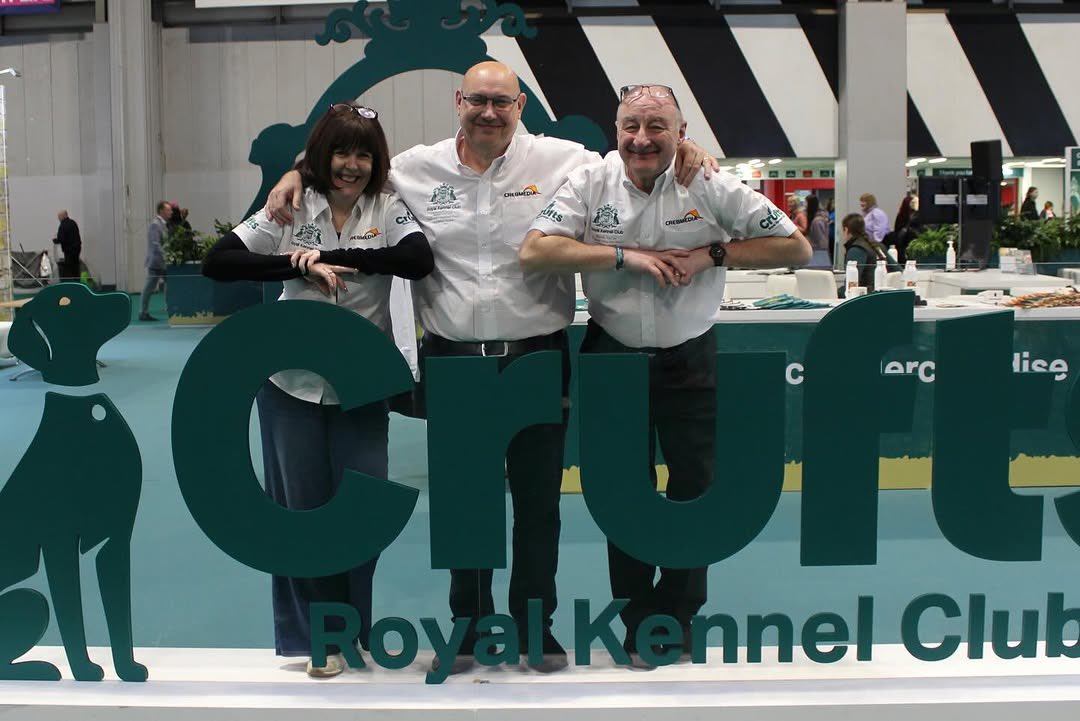 Wizard Embroidery tweet media