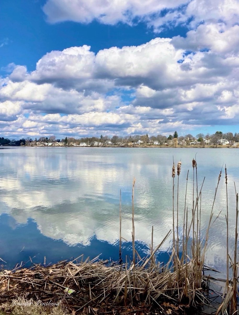 Jennifer tweet media