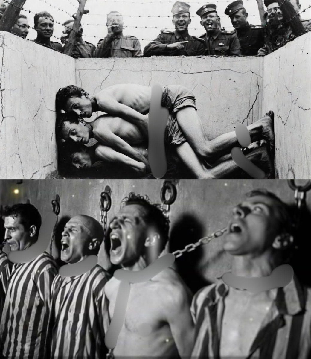 🔻Mar Cambrollé 🏳️‍⚧️ Hay Ley Trans tweet media