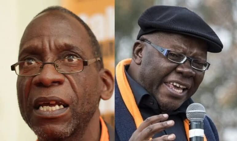 Harare Opinion tweet media