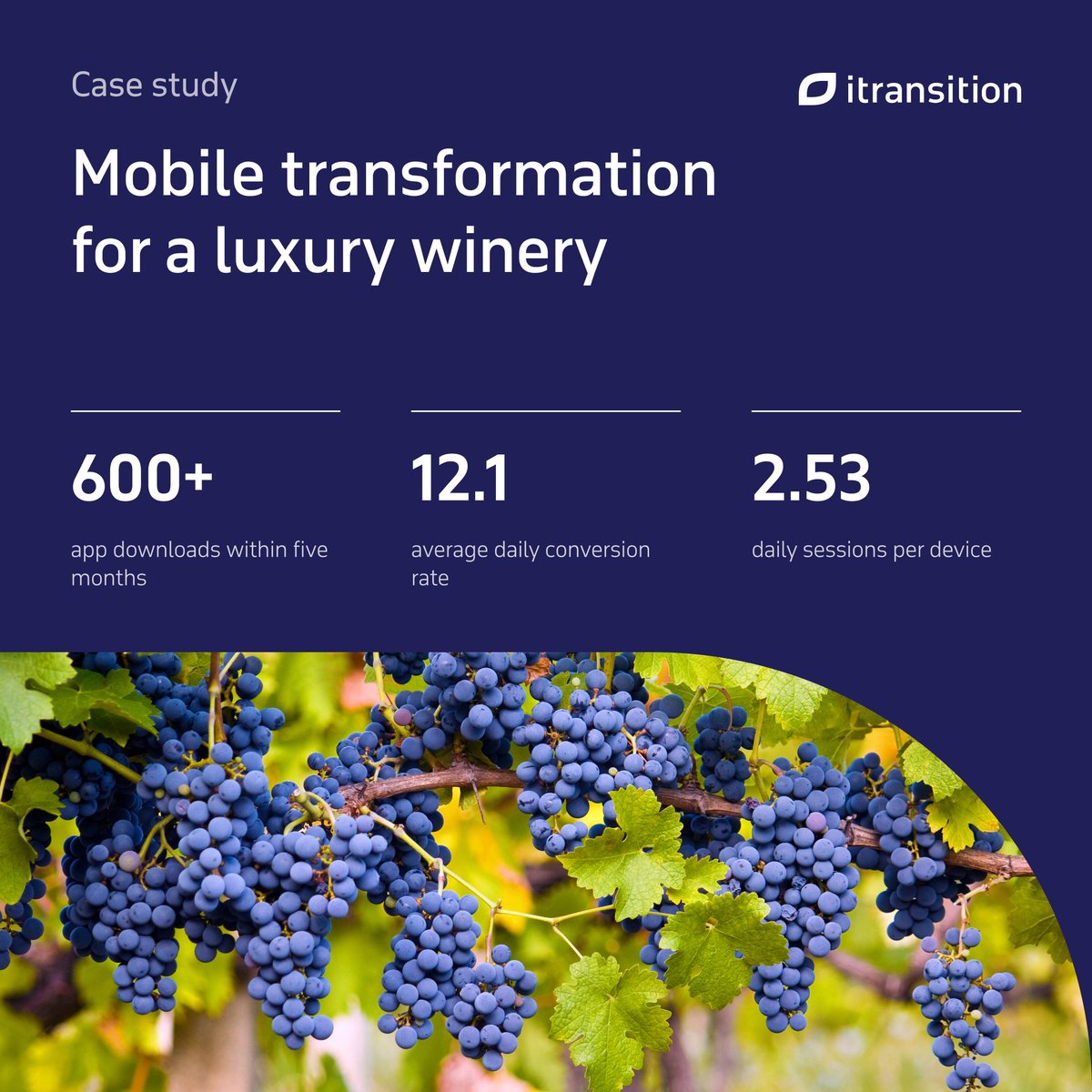 Itransition tweet media