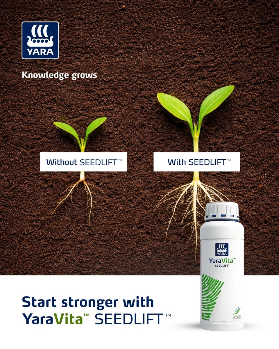 YaraKenya's tweet photo. Seed dressing is a simple step that many farmers skip, and it can affect early crop performance.

Before maize planting, treat your seed with SEEDLIFT to support stronger establishment from the start.

 For guidance, call 0800 720 517.

#SeedDressing #YaraKenya #MboleaNiYara https://t.co/VWIecsaZ6V