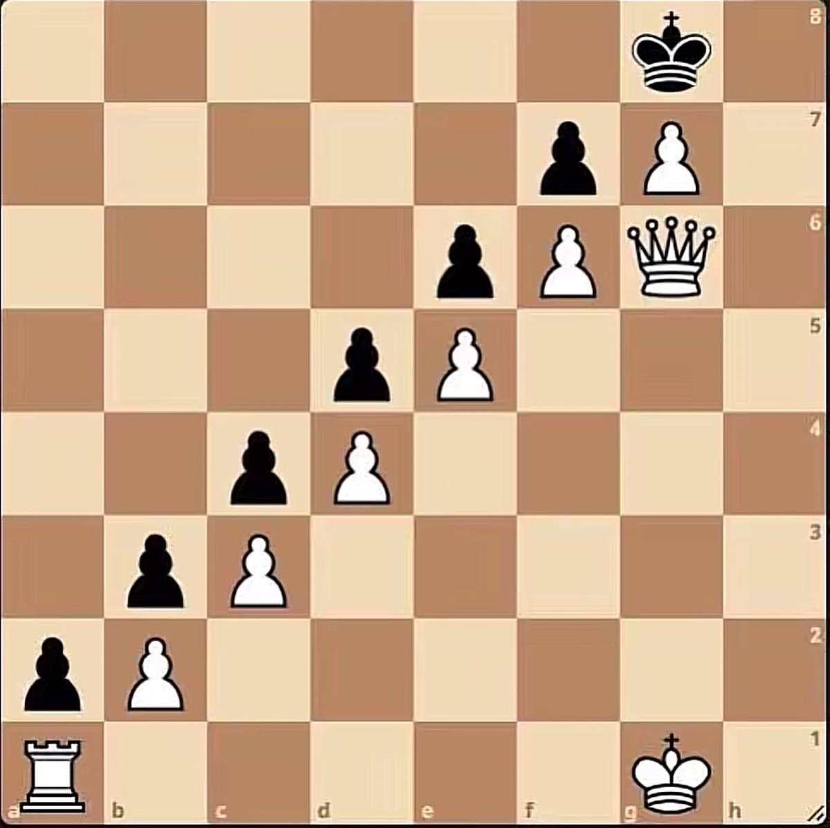 Chess Master tweet media