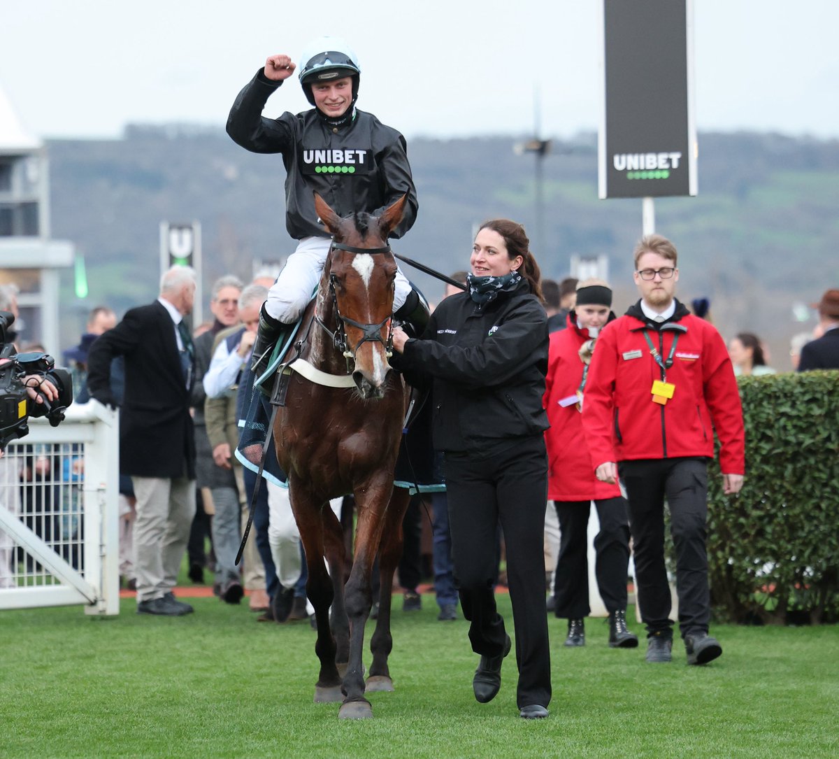 Foran Equine tweet media