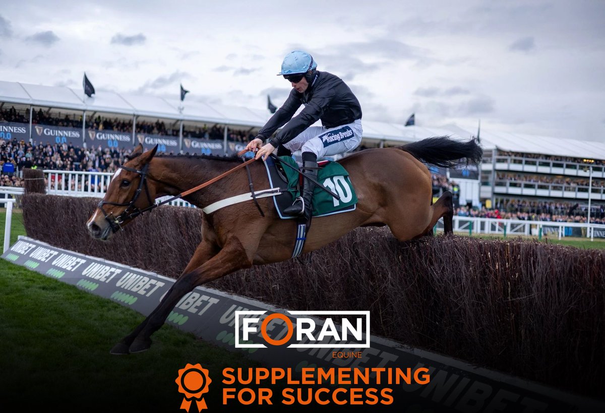 Foran Equine tweet media