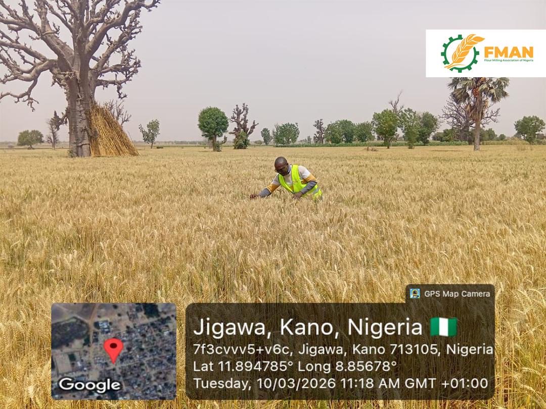 Flour Milling Association of Nigeria (FMAN) tweet media