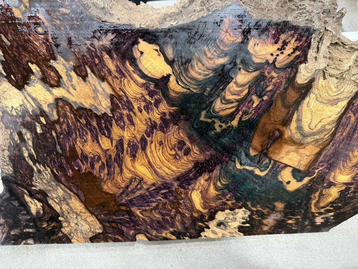 こぶた工房 tweet media