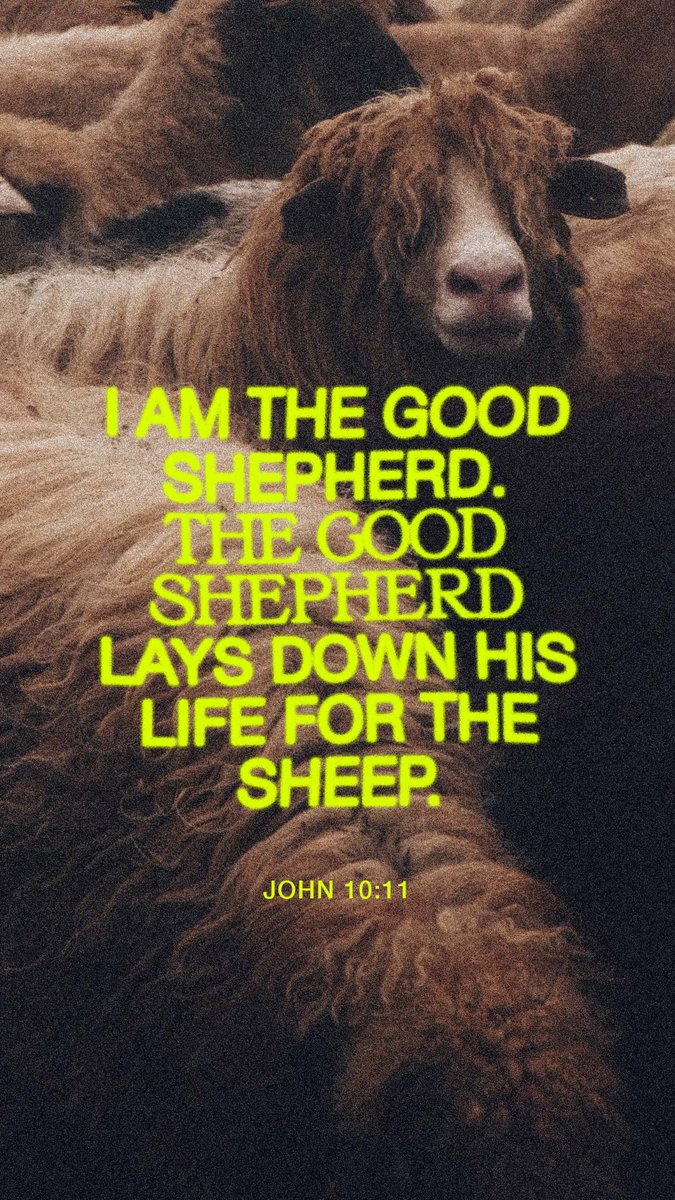 M. Patrick tweet media