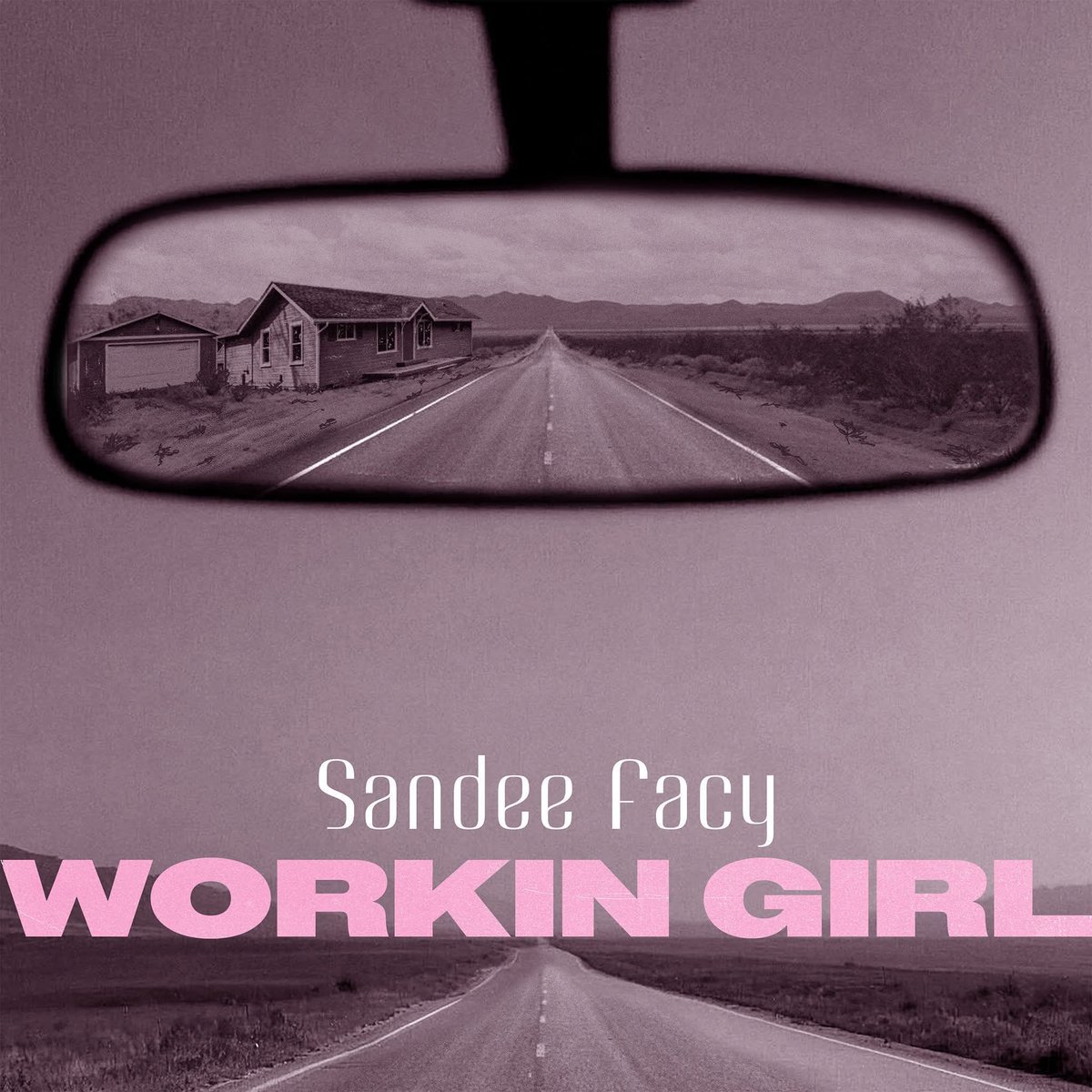 SANDEE FACY 🌻 tweet media