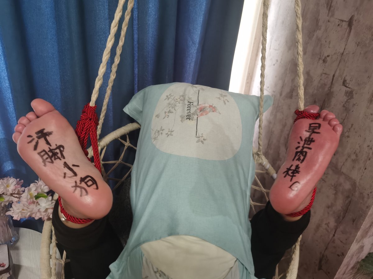 小黑柴作战记录 tweet media