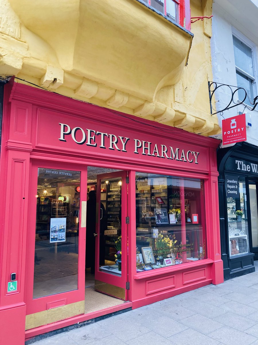 Josie De Falco 🌿 tweet media