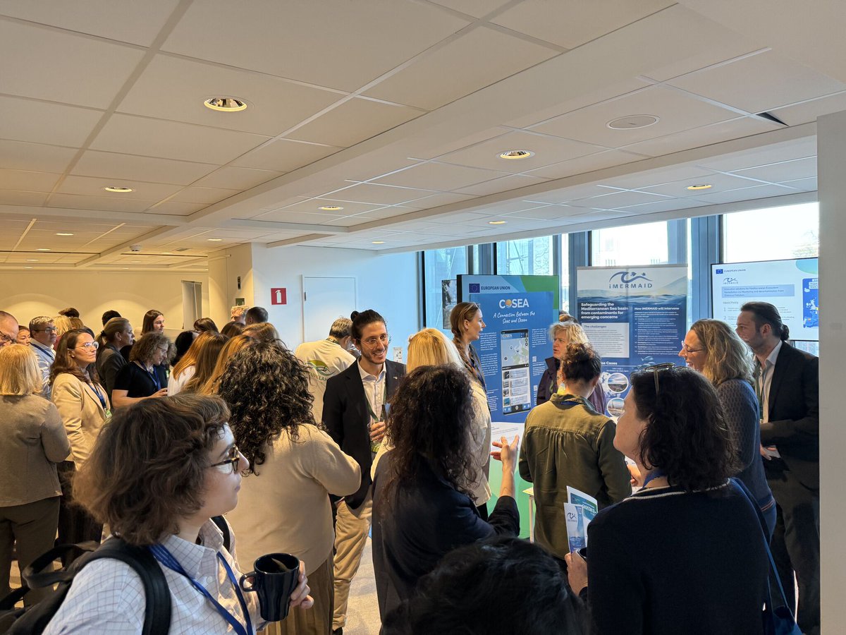 iMERMAID 🇪🇺 tweet media