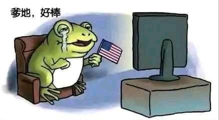 frogr1ch's tweet photo. @xiatiandeyu5 @IsaacAsimo9557 @huchuan 急哭一只🐸 https://t.co/03XVHpzmGv