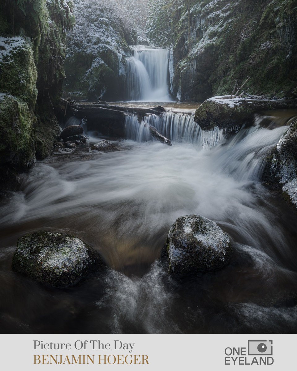 One Eyeland tweet media