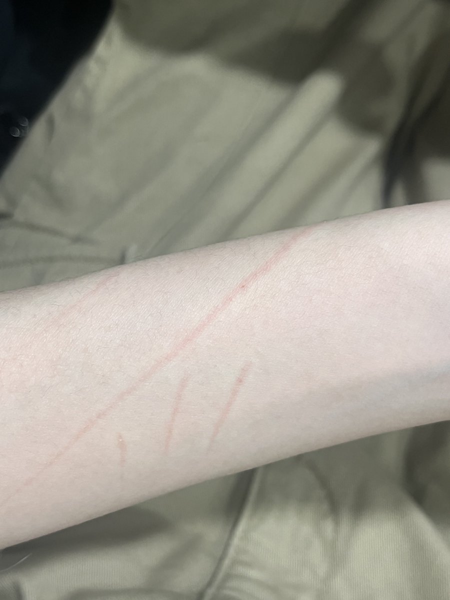 자해트친소(고양이가항퀴엇어요