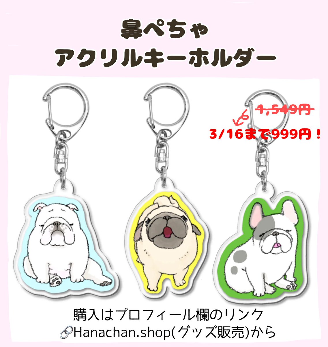 ハナちゃん tweet media