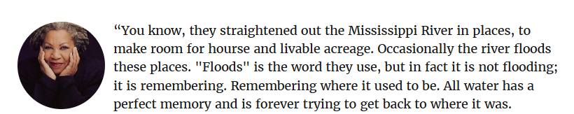 it's been years and i still haven't found my way back to myself yet, but i am comforted by these words of toni morrison: