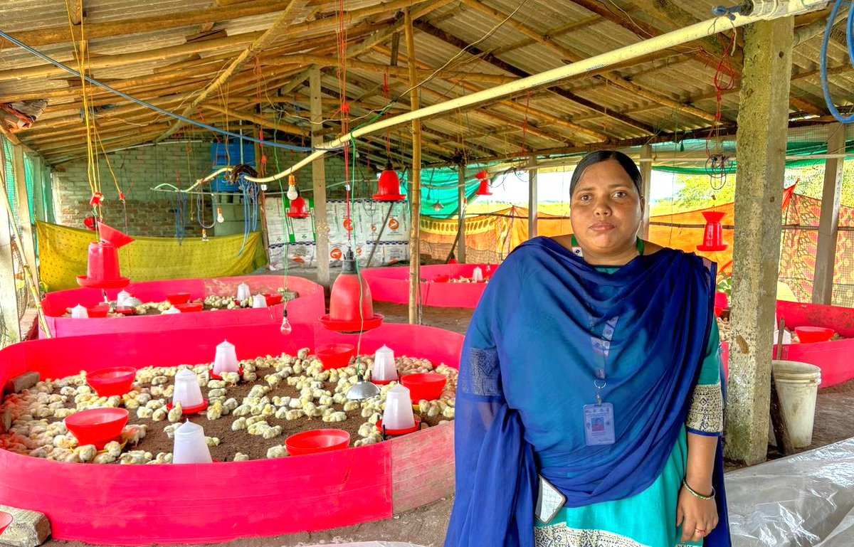 UNDP Planet tweet media