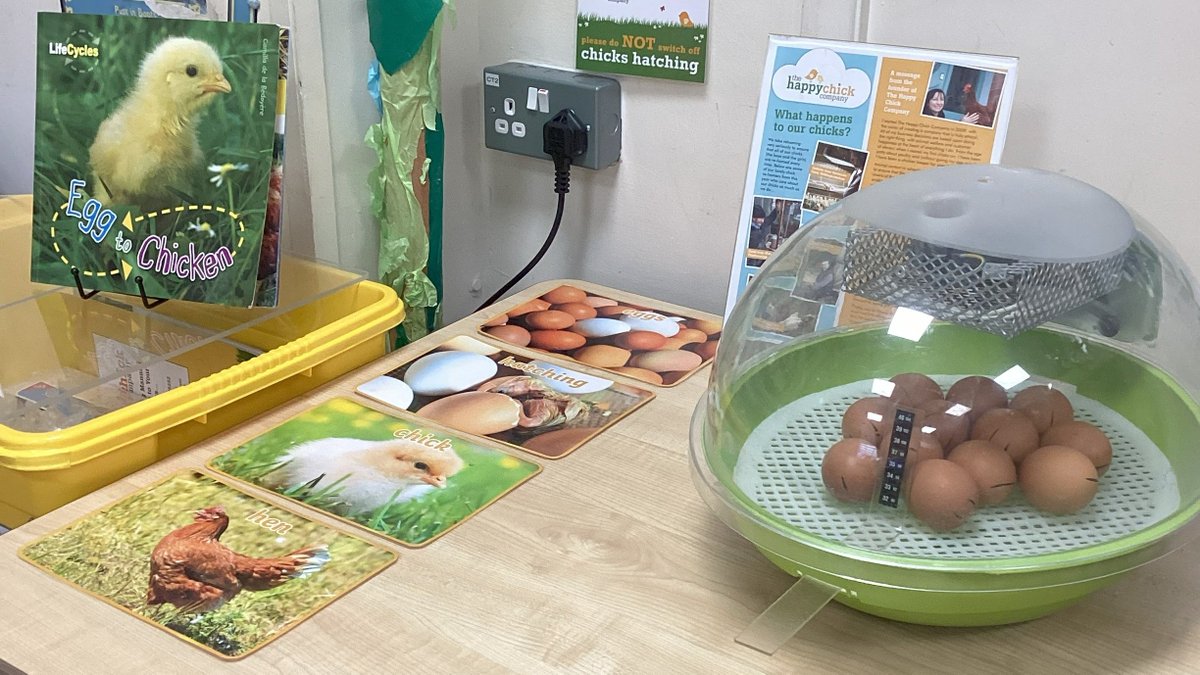 Three Lane Ends Academy tweet media