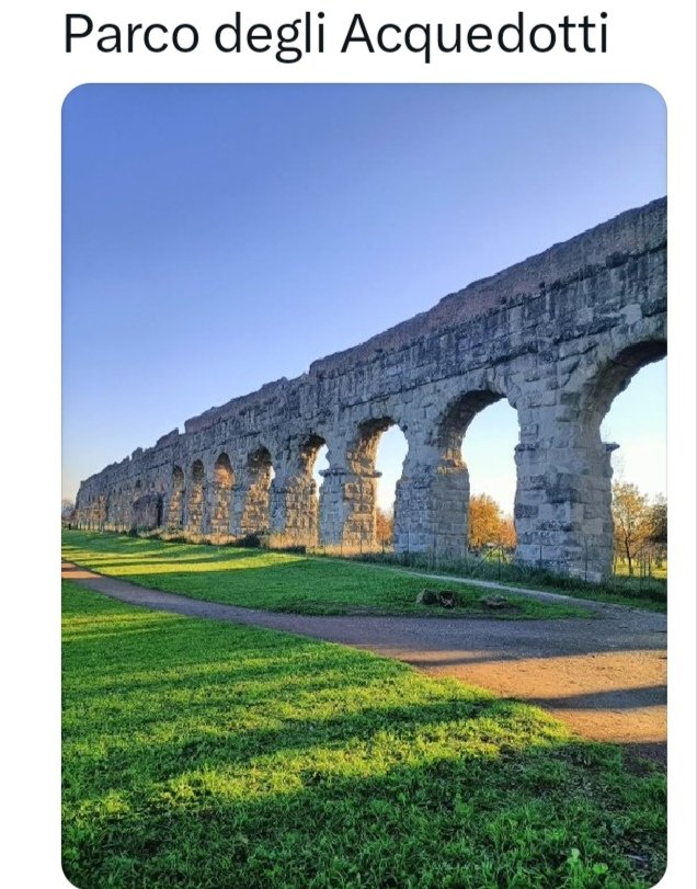 Luisa tweet media