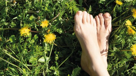 Laboratorios Viñas tweet media