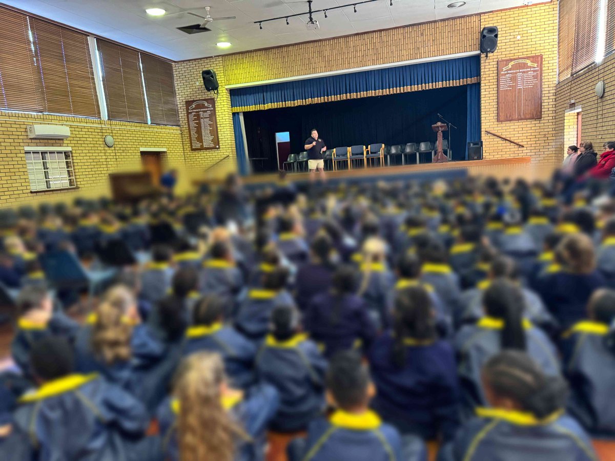 Child Protection tweet media