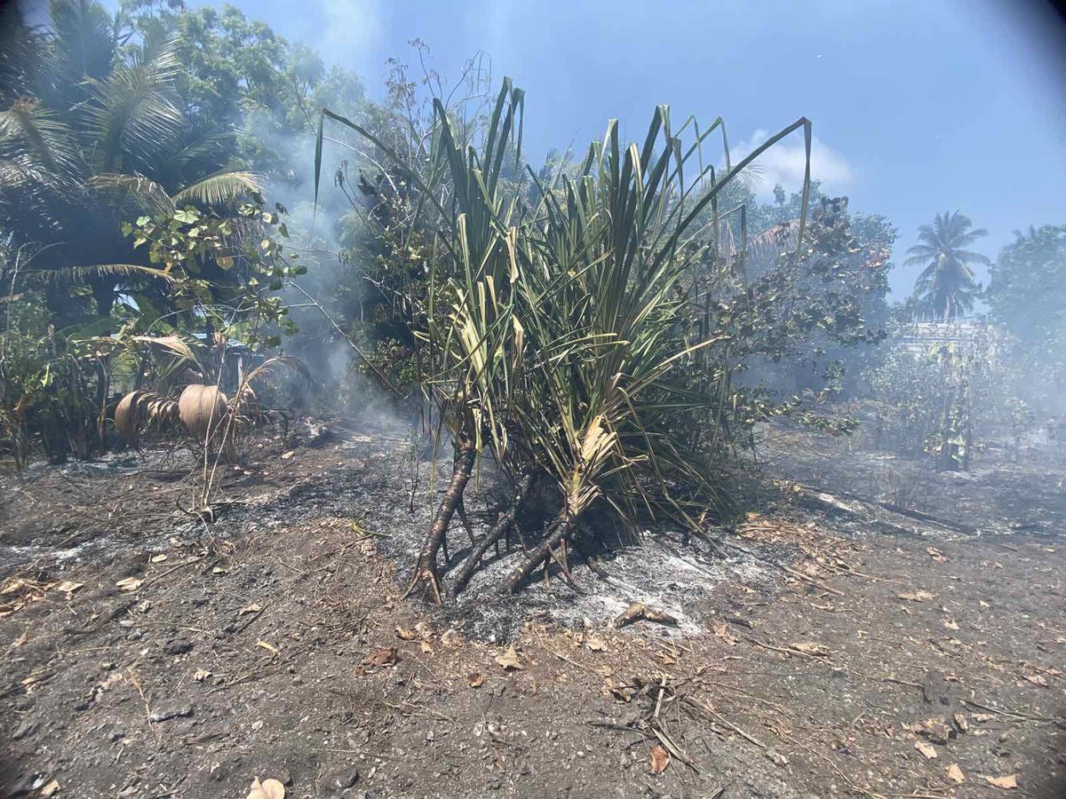 Maldives National Defence Force tweet media