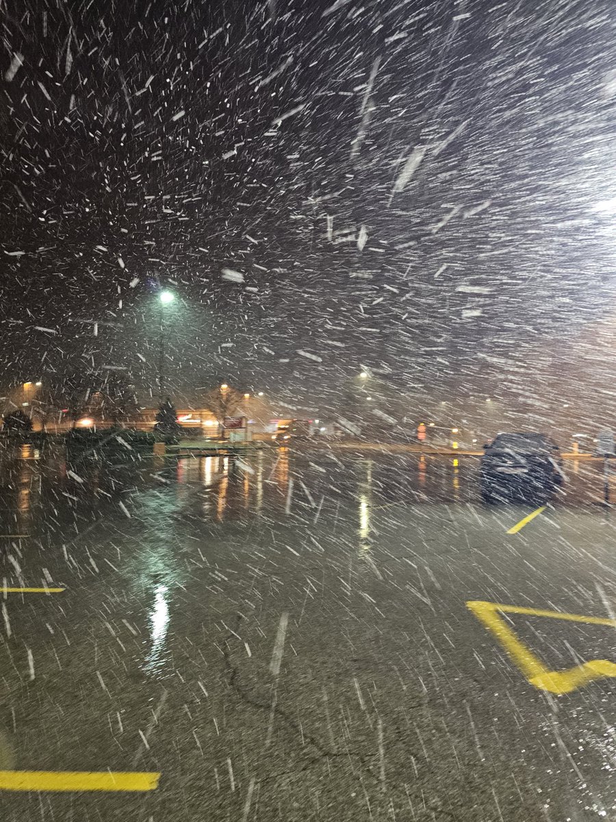 Tristin Chambers (taze) tweet media