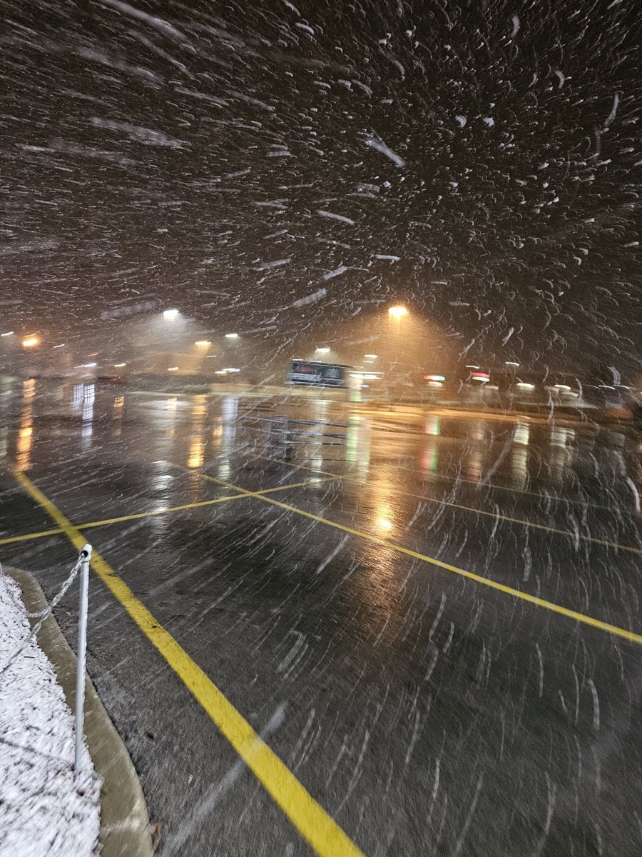 Tristin Chambers (taze) tweet media