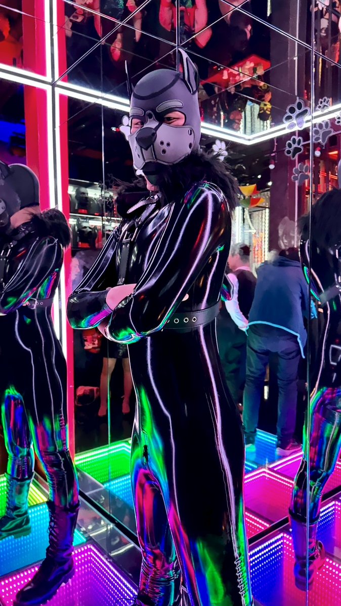 Ming Puppy BKK 🐾 tweet media