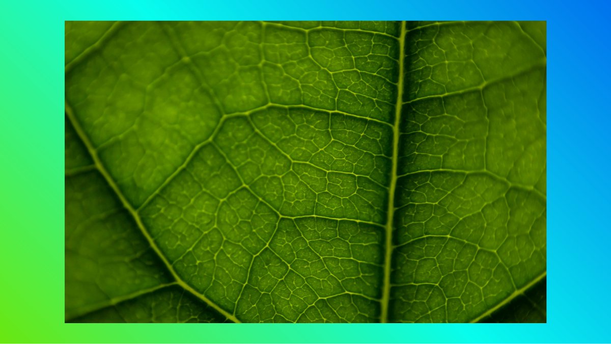 Apollo13 tweet media