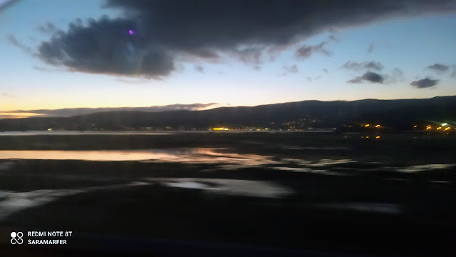 Sara Martínez tweet media