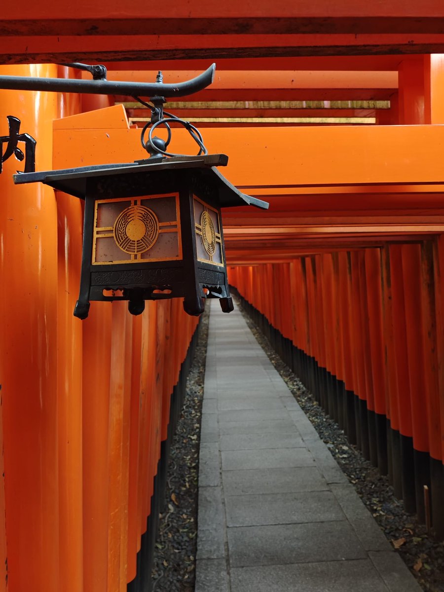 Catherine Finn tweet media