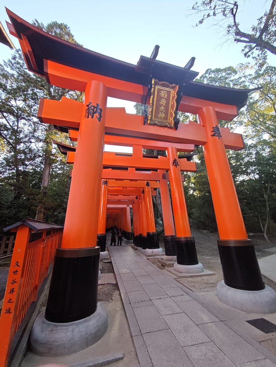 Catherine Finn tweet media