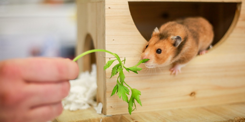 Blue Cross UK tweet media