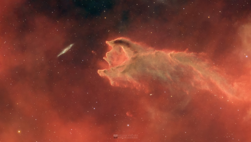 ImmutableType.com tweet media