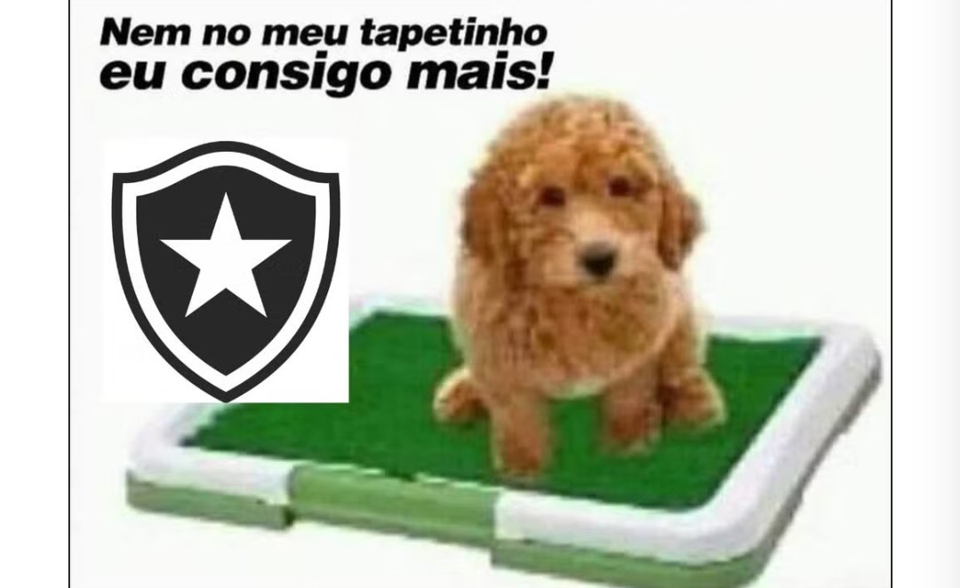 Botafogo eliminado 
na Pré-Libertadores !

HAhaₕₐₐₕahAH,
HAhaₕₐₐₕahAH 😁🤣
HAhaₕₐₐₕahAH 😁🤣
HAhaₕₐₐₕahAH 😁🤣