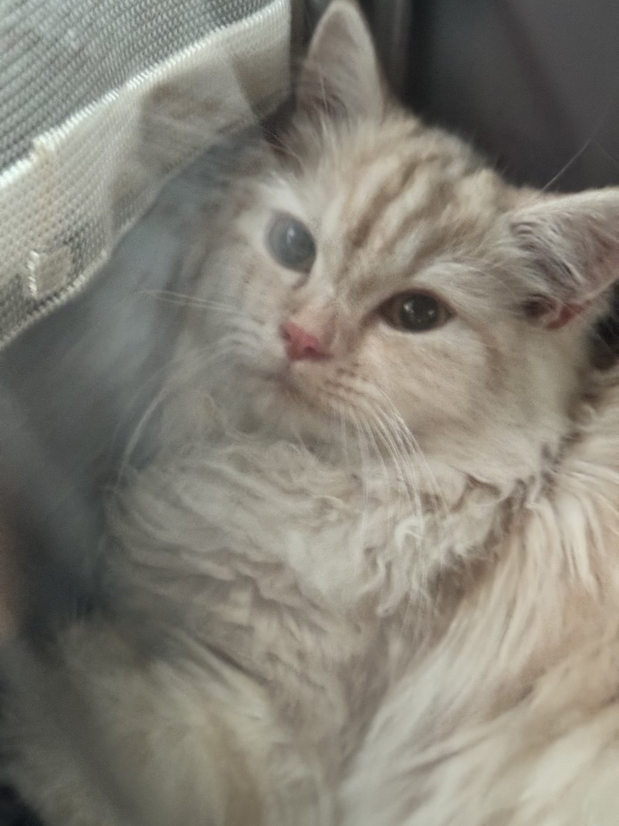 he's sad about it