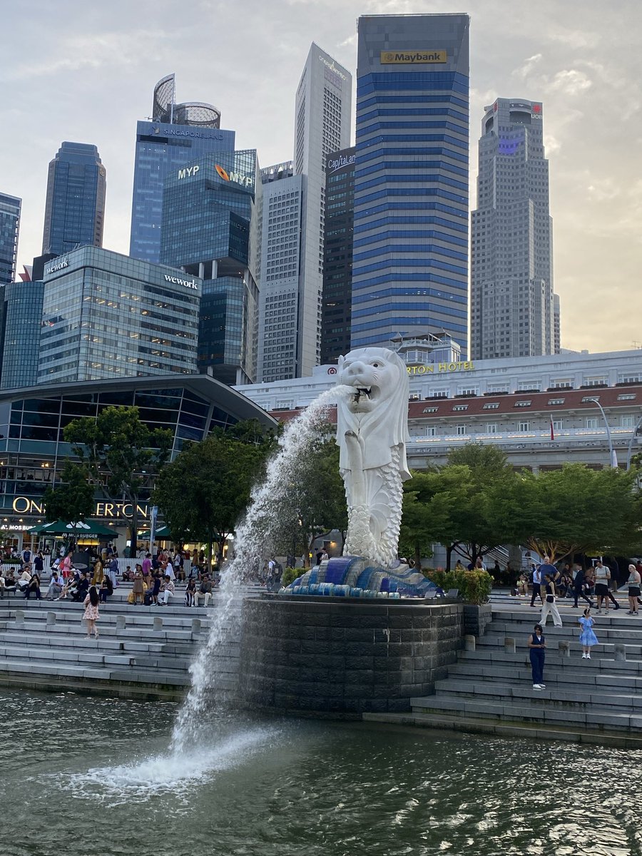 グレイソン tweet media