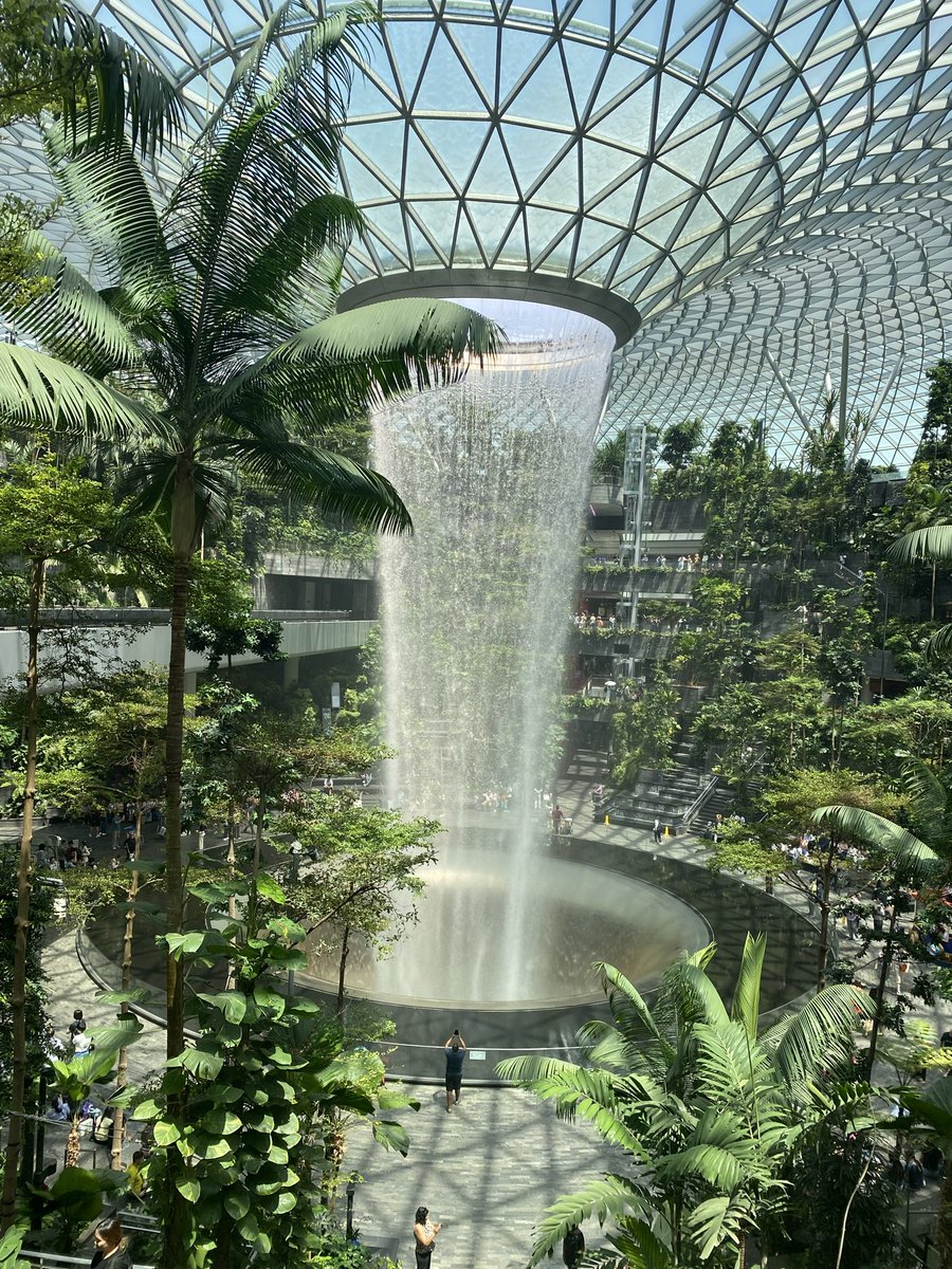 グレイソン tweet media