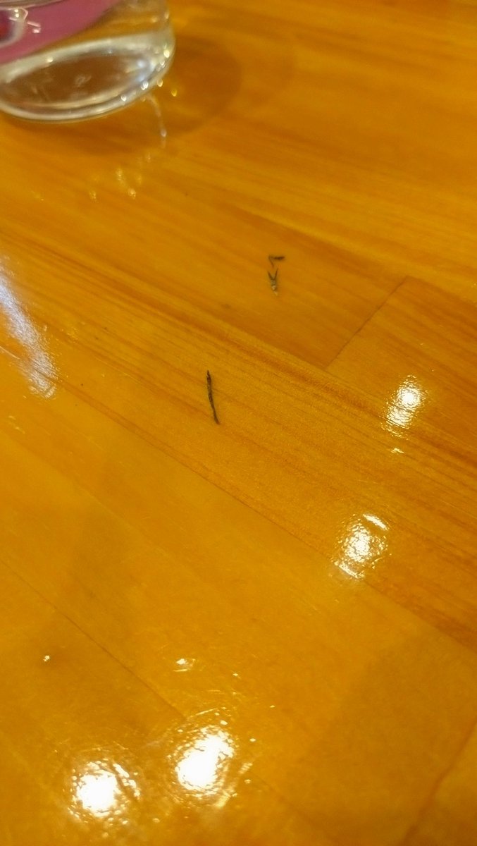 コメダ行ったら誰かの努力の証が落ちてる